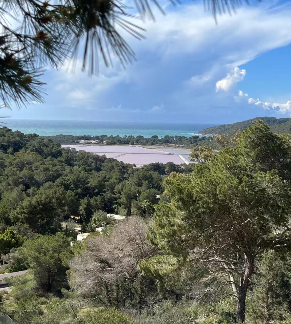 Stunning Sea View - Salinas Ses Salines (Ibiza)