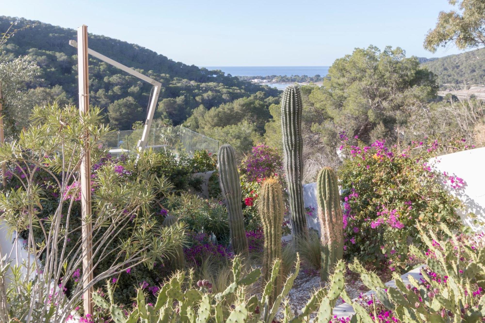 Stunning Sea View - Salinas * Ses Salines (Ibiza)